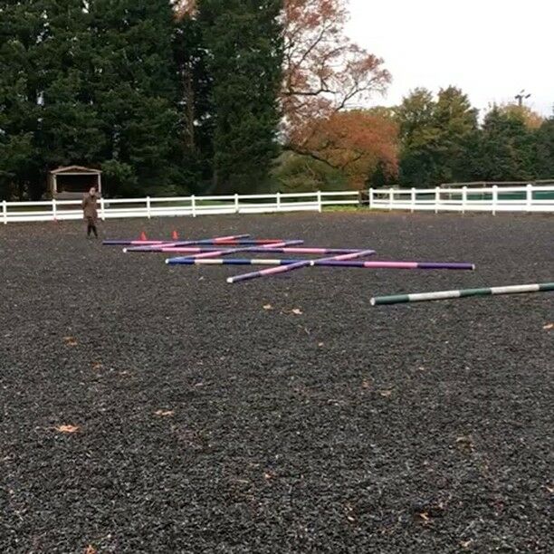 EquiYoga clinic today!